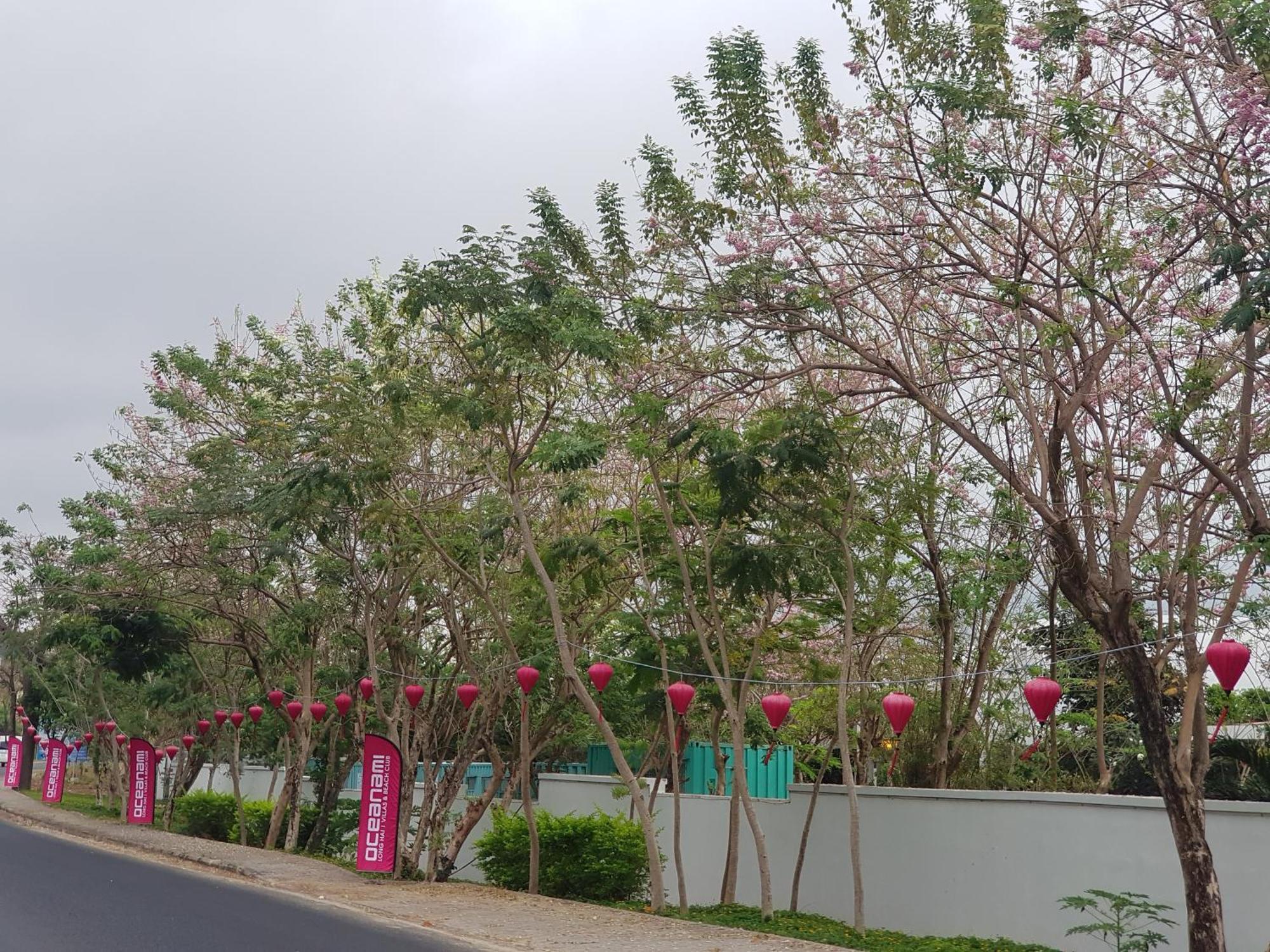 Oceanami Resort Sea View Long Hai Bagian luar foto
