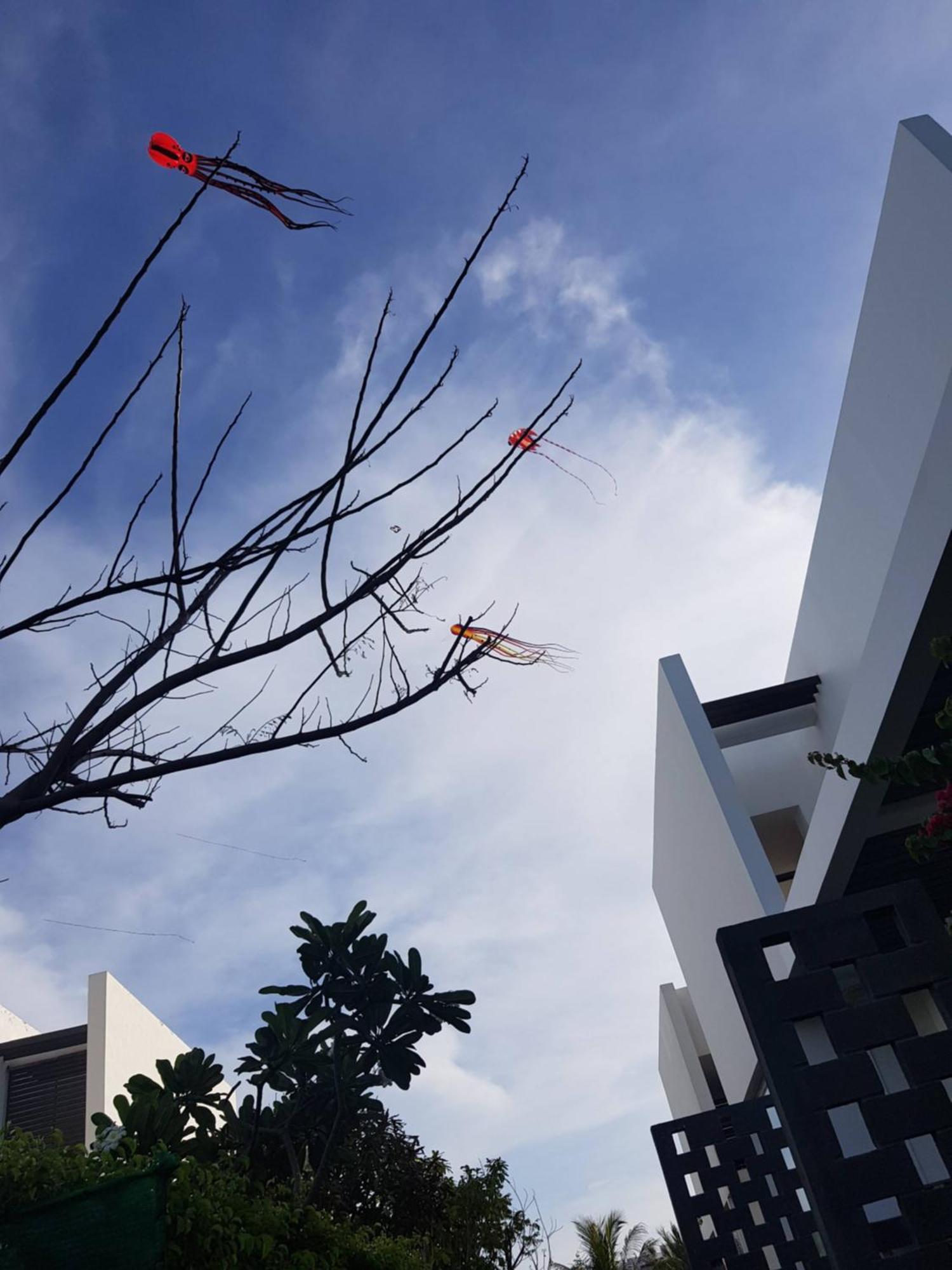 Oceanami Resort Sea View Long Hai Bagian luar foto