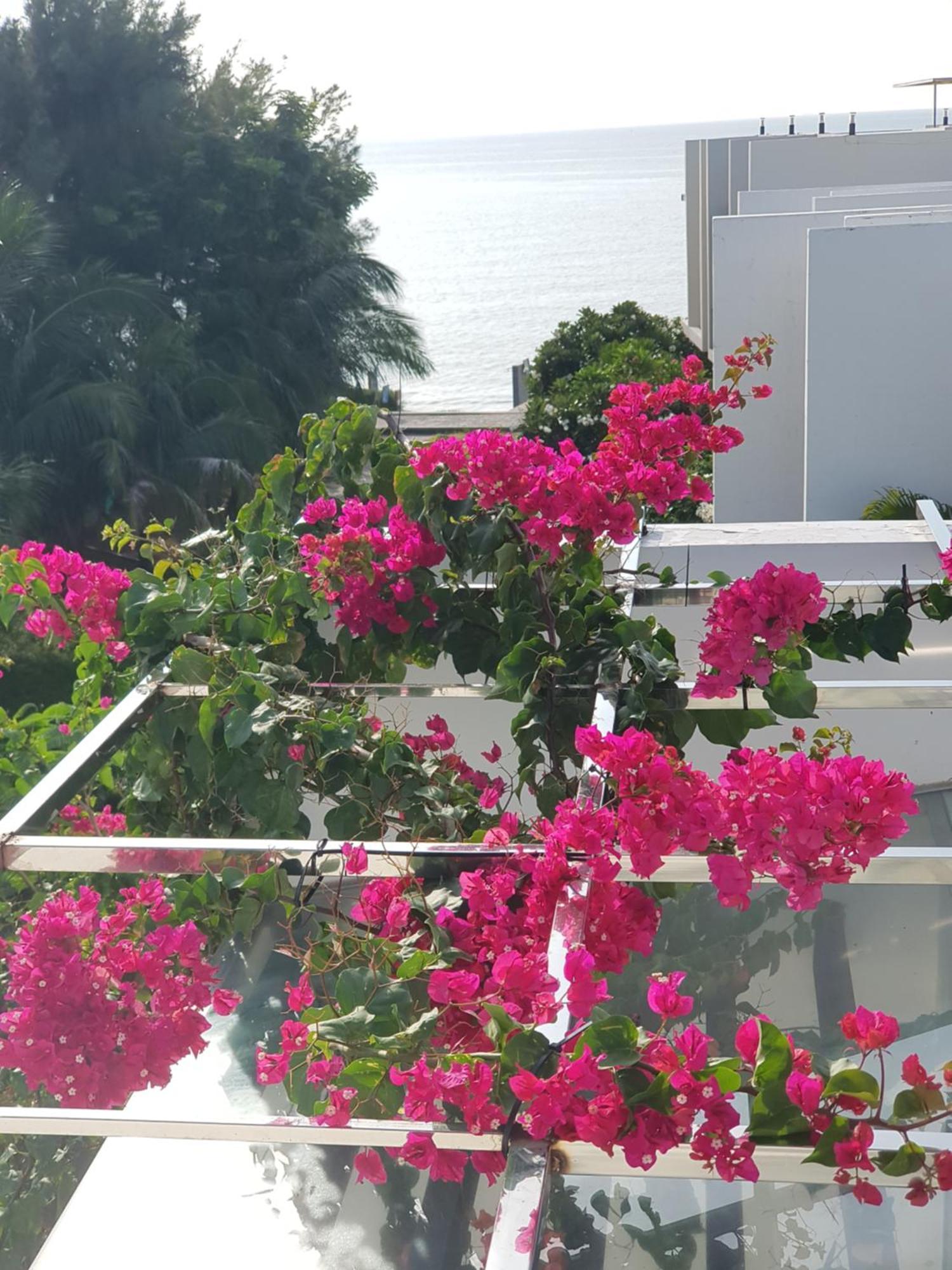 Oceanami Resort Sea View Long Hai Bagian luar foto